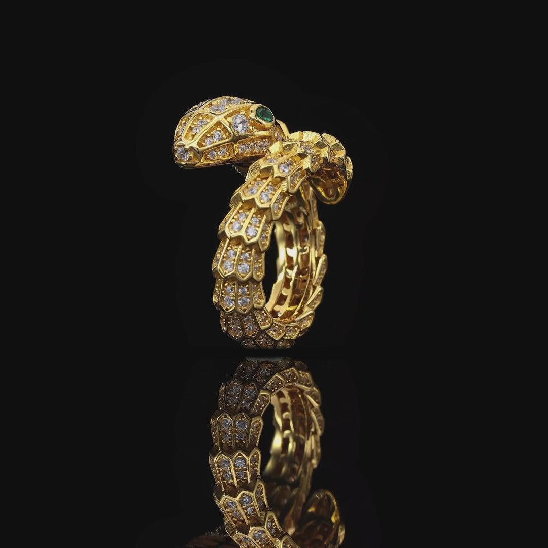 Charger la vidéo : 